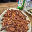 뚱띠오돌뼈