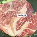 고기마루 이미지