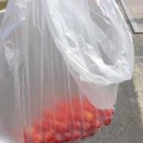 한내여자중학교 이미지