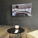 스테이 리네 이미지