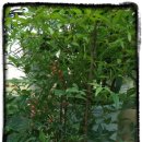 남천식품 이미지