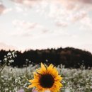 아트인디고 이미지