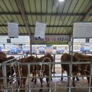 서귀포시축협 이미지