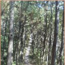 정하건강 이미지