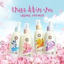 바디-로 이미지