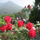 삼호농장 이미지