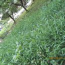 풀천지농장 이미지