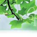 정은섭 | [모교 강당 준공식] 후기