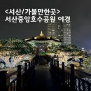 서산터널 화장실 | 서산 호수공원 야경 산책하기 좋은 서산 가볼만한곳 중앙호수공원 데이트