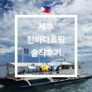 탐이나인형방 | 🇵🇭 세부 한바다호핑투어 솔직후기 🛥 🐠 🎣 2년전 해적호핑과 비교하자면.. 🤫