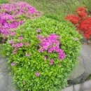 서곶그린공원 이미지