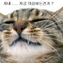 복성반점