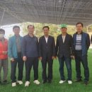 항곡리 게이트볼장 이미지