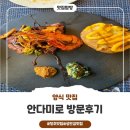 안다미로 | 성안길 맛집 청주 양식 파스타 맛집 안다미로 방문 후기!