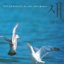 새 Daum카페