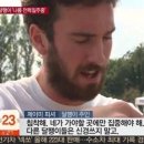 낭만고양이 이미지