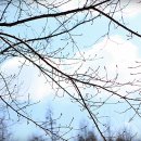 가산산성야영장 이미지