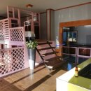 개들의왕국 이미지