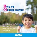 코이(koii) - 강남구 | 코이(koii)