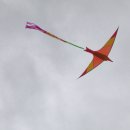 안정초등학교 이미지