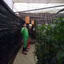 찬수농장 이미지