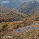 남도삼백리길(7코스) | 걷기 좋은 여행지ㅣ진도 최고봉 첨찰산을 넘어 단풍과 다도해를 만나는 길, 서해랑길 7코스