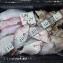 진광택 이미지