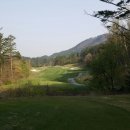 용평 버치힐골프클럽 이미지