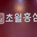 초월홍삼 부산용호점