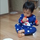 아짱아짱 이미지