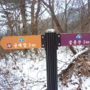 산내면 중황마을 이미지