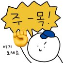 히히햅삐 웨딩일기#8 플래너 없이 본격 청첩장 대작전 (바른손카드 청첩장 제작편)