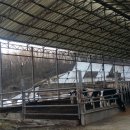 삼삼오오목장 이미지