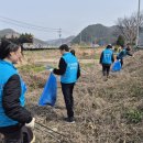 충주 조동천 충북일보