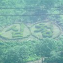 곡성-122 이미지