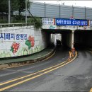송지초등학교 | 삼랑진 &#39;콰이강의 다리&#39;... 오싹하네