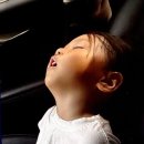 국립삼봉자연휴양림 야영장 이미지