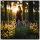 민간약초생활한방 | 조상들의 지혜 민간요법 대백과 한방약초 소개