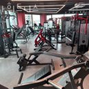 디나휘트니스 이미지