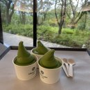 (주)명풍시스템 | 제주 3주 살기) 7일차, 8일차 한라산 안 가면 제주도 안 간 거 아닌가요?