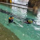 켄싱턴 수영장 | 평창 켄싱턴 호텔 2탄 수영장 이용 후기 애니멀팜 동물 먹이주기