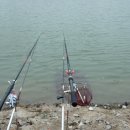 서해대교바다낚시터 이미지