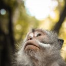 거북섬한방병원 이미지