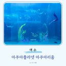 도천동 치안센타 ∼ 해저터널 입구 | 여수 실내 가볼만한곳 아쿠아플라넷 아쿠아리움 주차장 요금 인어공주 공연시간