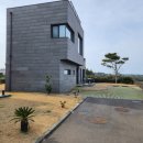동녘에머문청춘 이미지