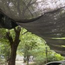 풍전민박
