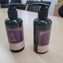 영주시치매안심센터 | [공지] 영주시치매안심센터 출강