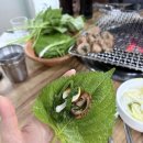 숯불구이대구막창 | 방송 나오기 전부터 단골집! 대구 남구 절창 맛집 진해숯불막창 후기