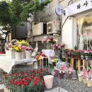 화사 플라워 스튜디오 이미지