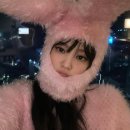 핑크토끼 이미지